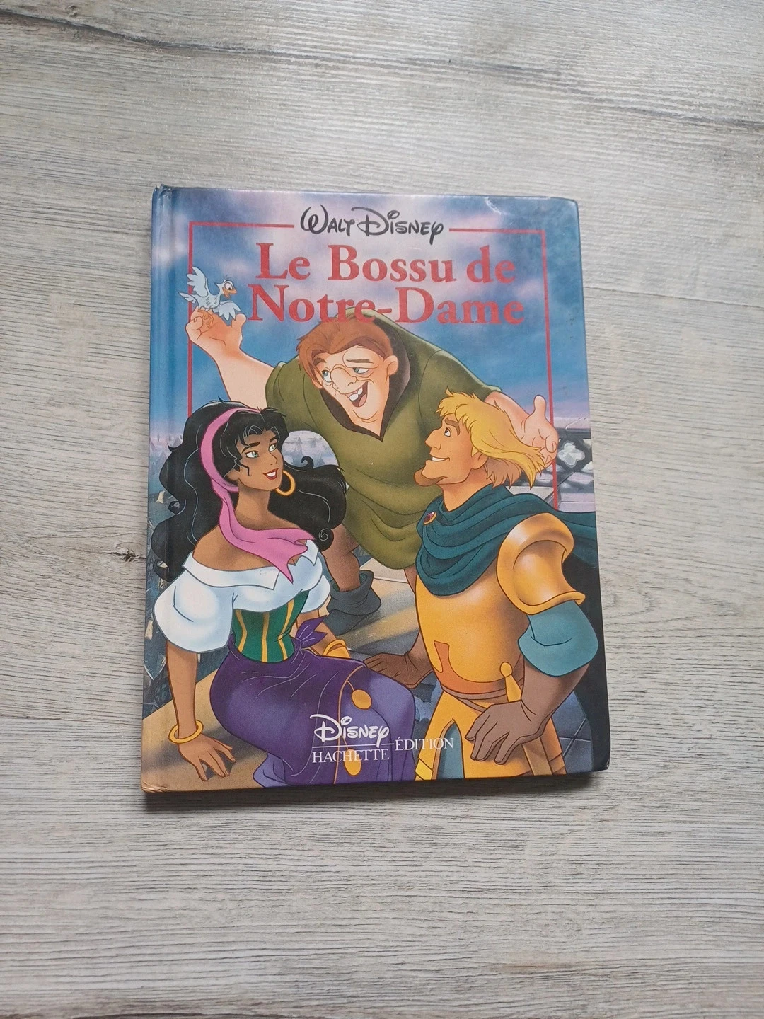 Livre enfant le bossu de notre dame